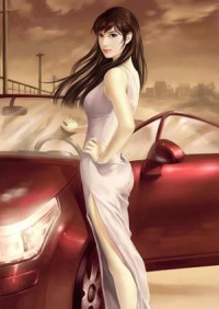 杨门淫将 作者:不详